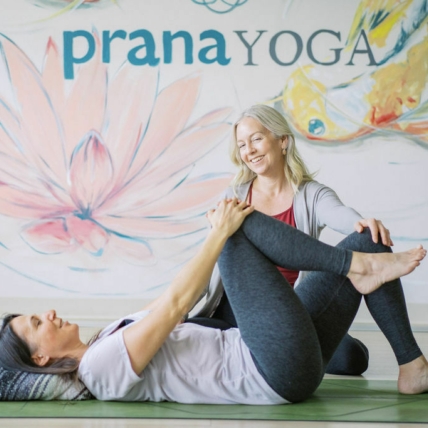 Why choose prana copy