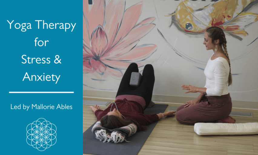 1652882597189 Copy of TT module template 11 x 6 77 in 1