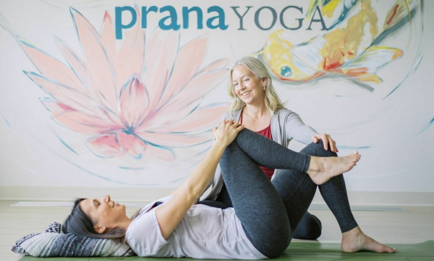 Why choose prana copy