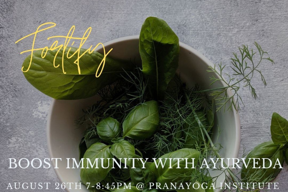 1627345802367 Photocentric Herb Benefits Health Blog Instagram Post 1 copy